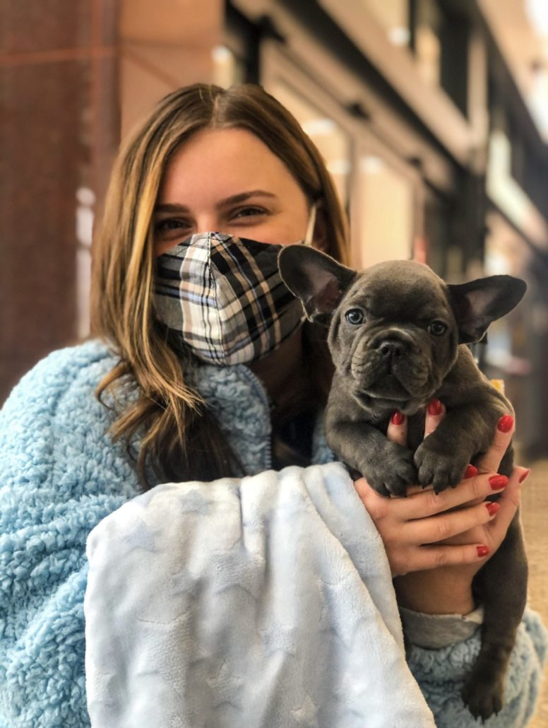 Happy Frenchie Home