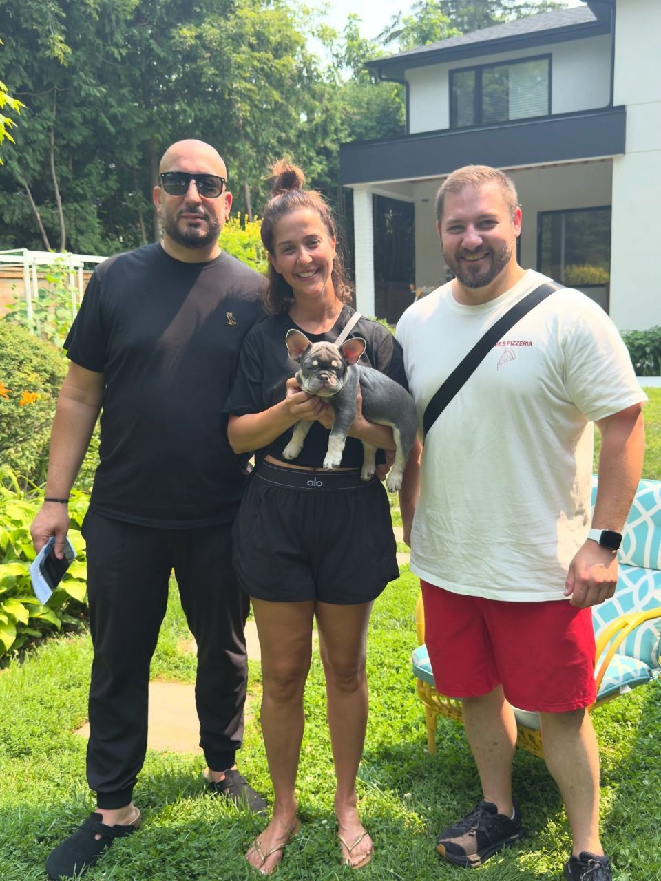 Bear – Happy Frenchie Home