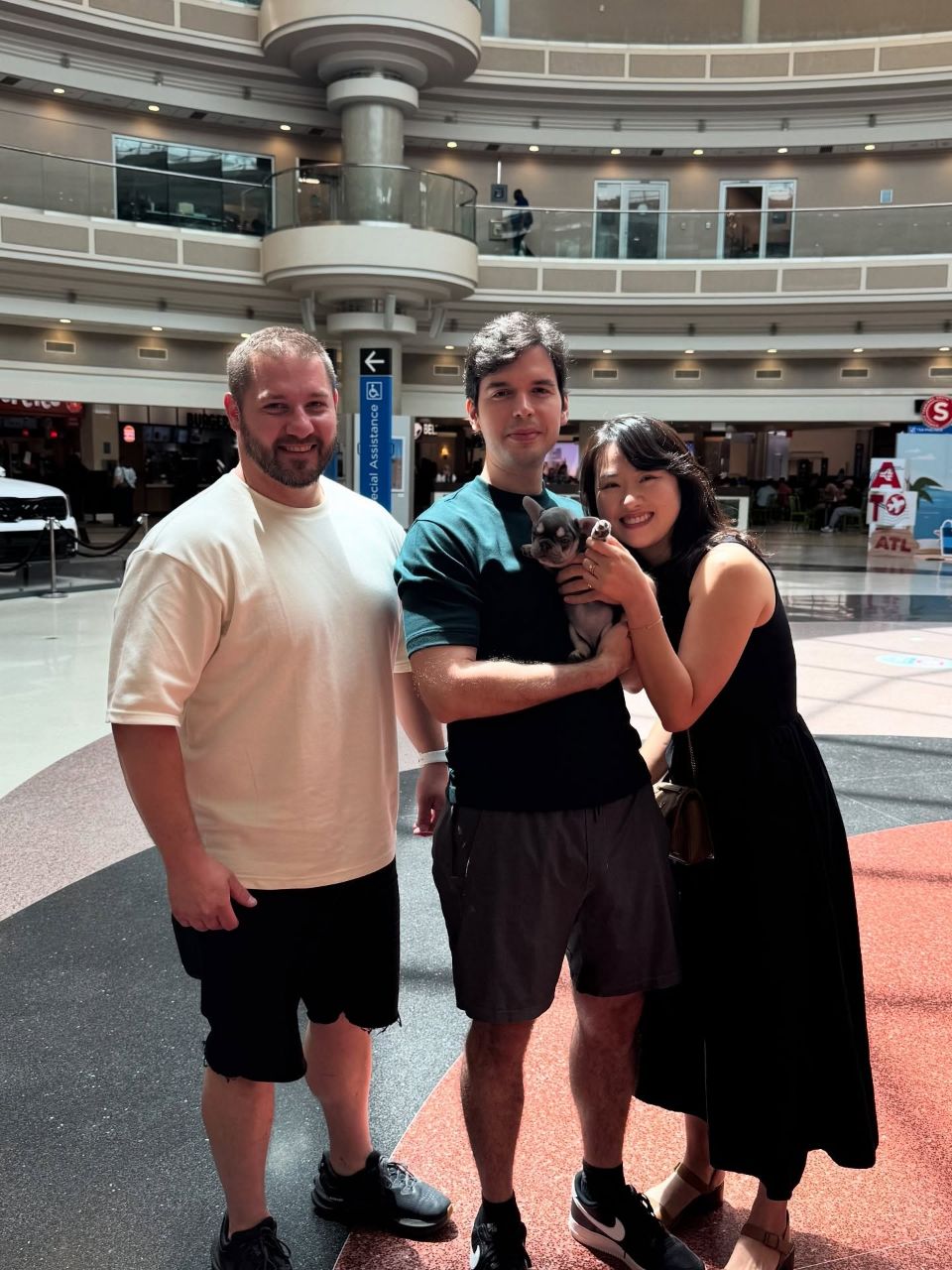 Rocco – Happy Frenchie Home