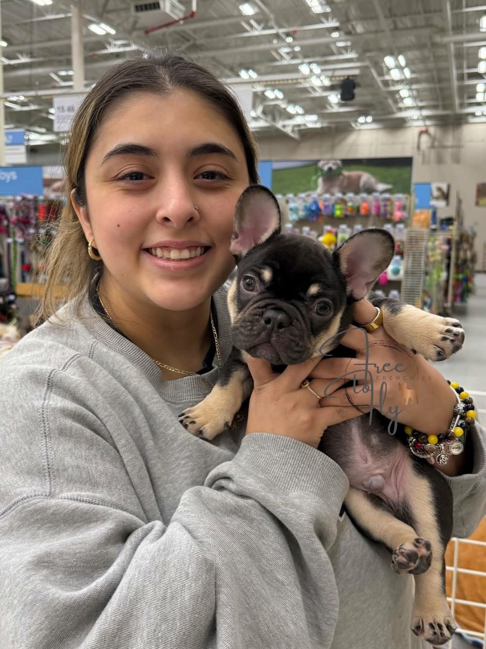 Luna Mae – Happy Frenchie Home
