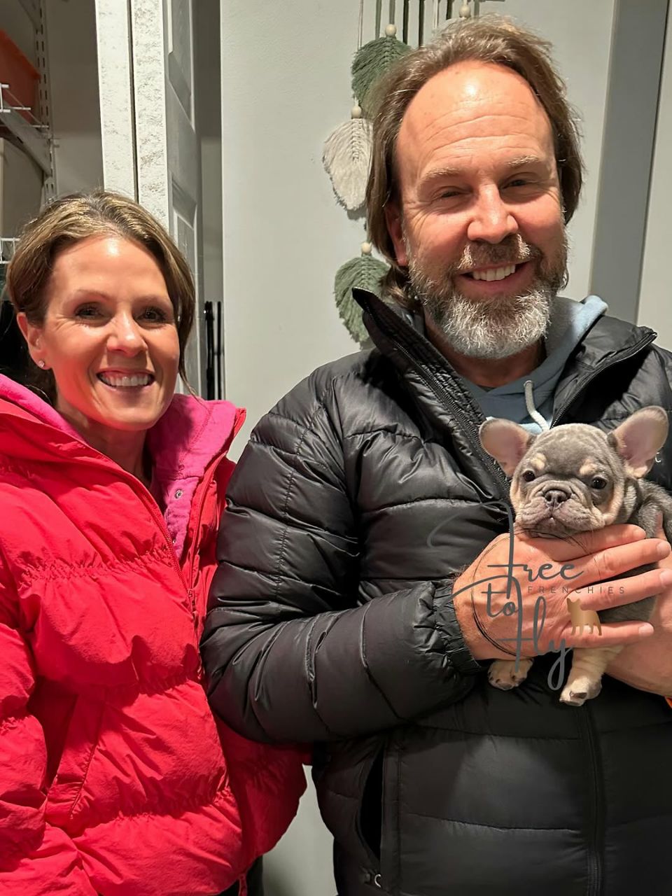 Duke Jr – Happy Frenchie Home