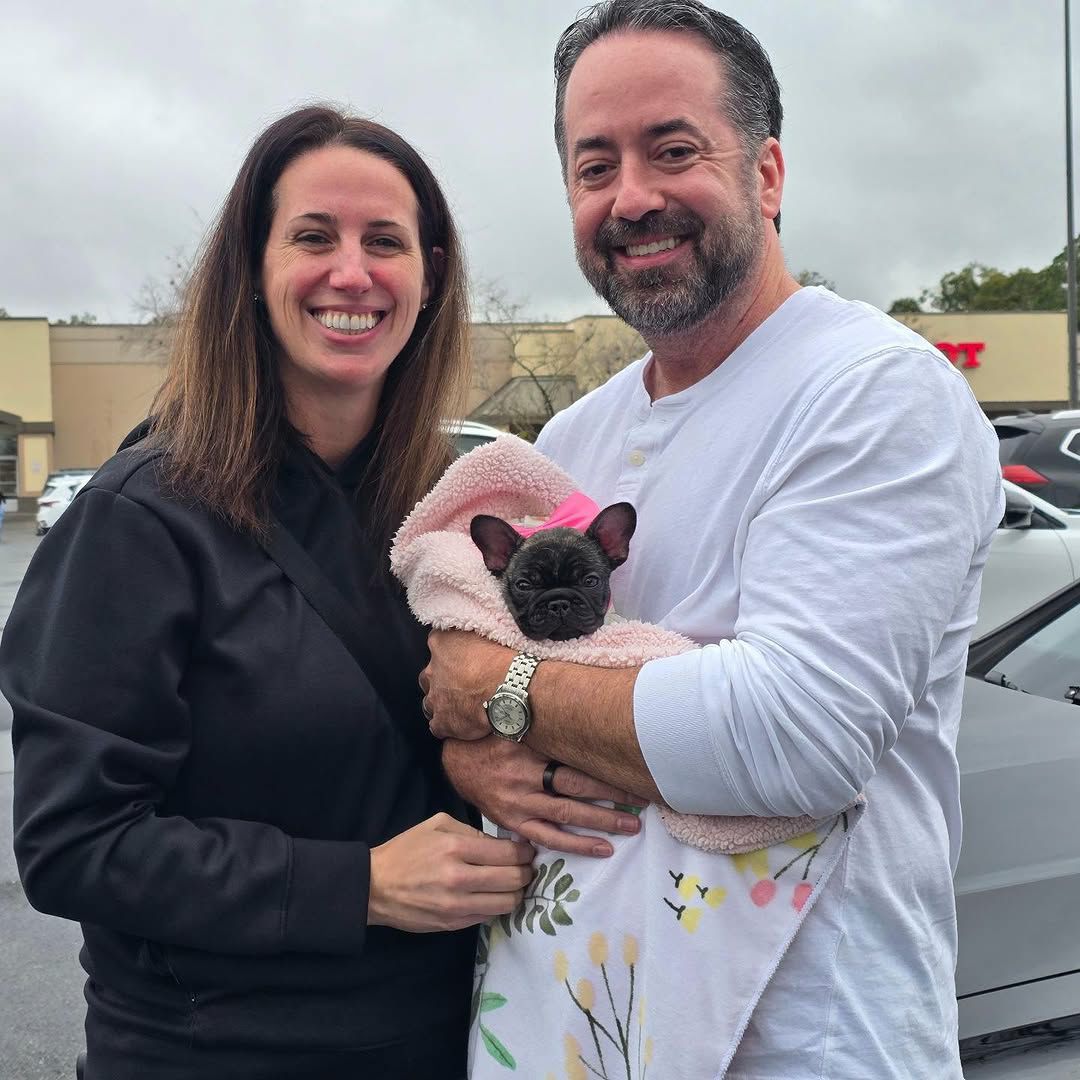 Titan – Happy Frenchie Home