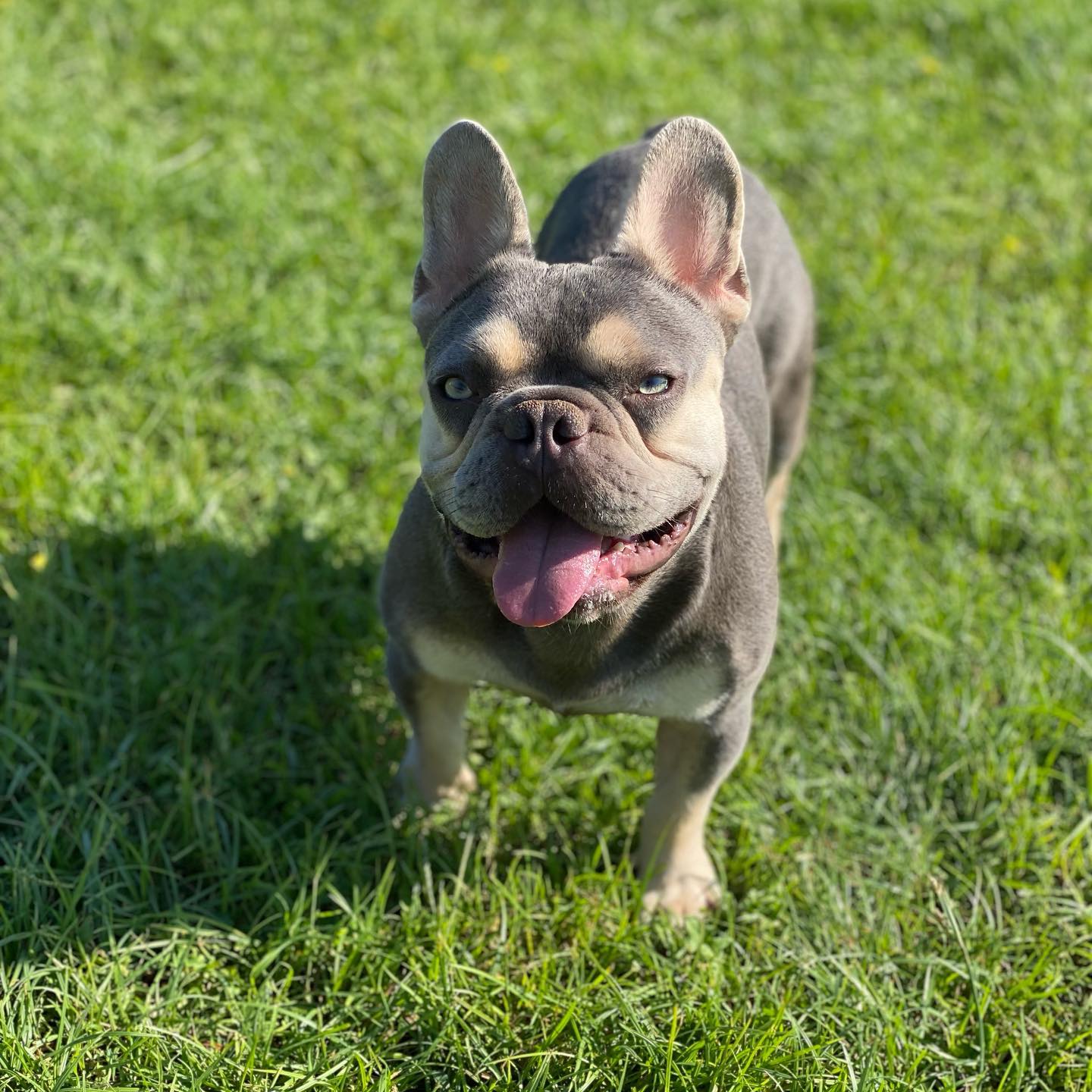 Zeus extra photo 1